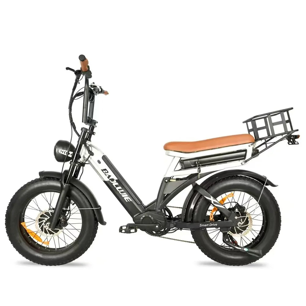Baolujie DP2033 Electric Bicycle 2000W Dual Motor Fat Tire Bike