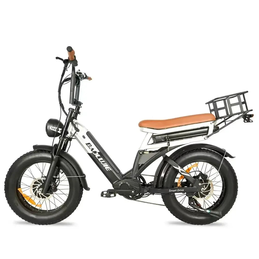 Baolujie DP2033 Electric Bicycle 2000W Dual Motor Fat Tire Bike by Beastly Survival Outlet
