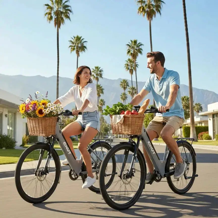 1000W Urban Ebike 26 Inch Comfort Step Through 48VDC Battery by Beastly Survival Outlet