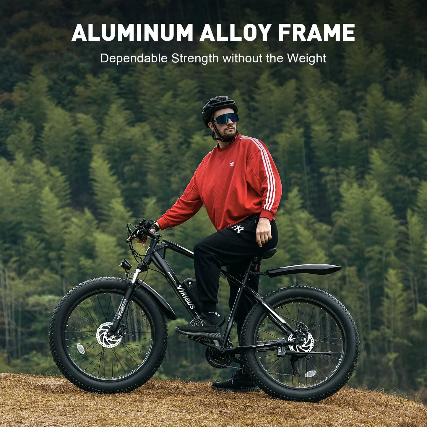 500W Fat Tire Electric Bike 48V 21 Speed for Adults 26 Inch