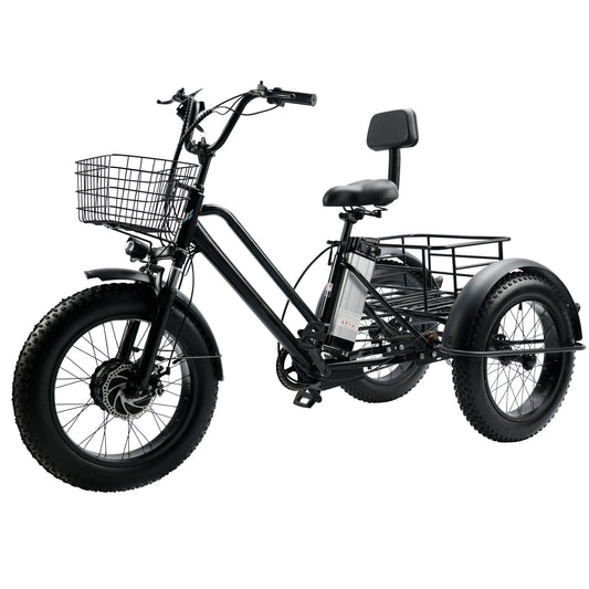 Topteng 500W Electric Snow Tricycle with Fat Tires for Comfort
