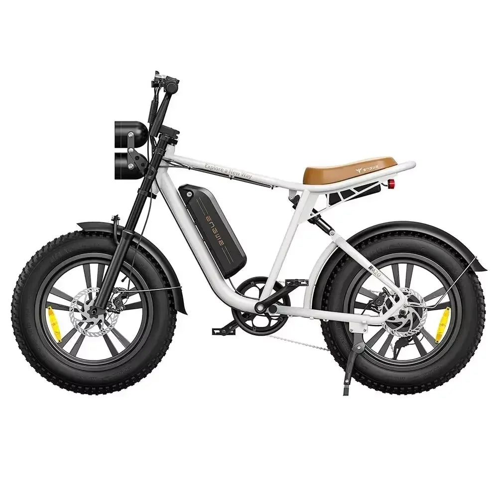 ENGWE M20 Electric Bicycle 750W Dual Battery Fat Tire Ebike
