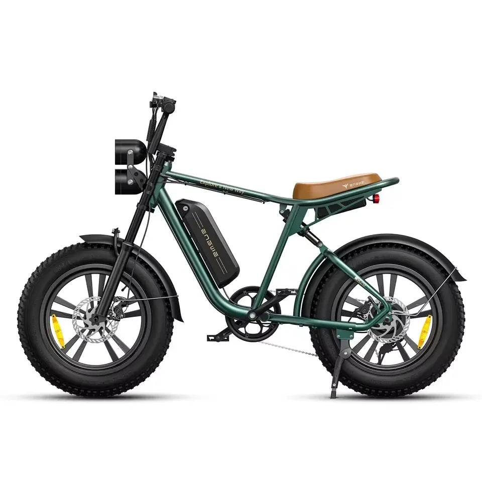 ENGWE M20 Electric Bicycle 750W Dual Battery Fat Tire Ebike