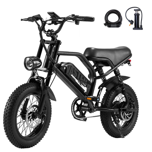 AVDLEU Mountain Electric Bike 16 Inch Fat Tire with 800W Peak Motor