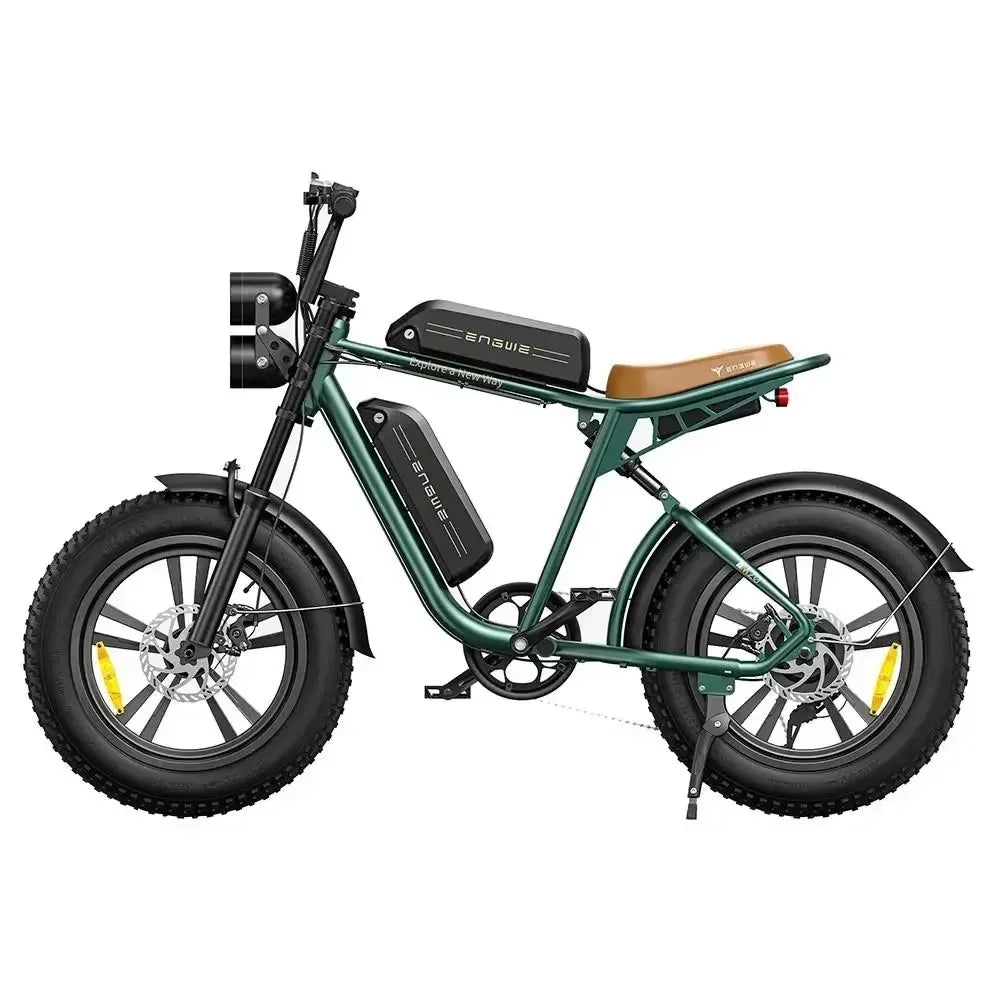 ENGWE M20 Electric Bicycle 750W Dual Battery Fat Tire Ebike