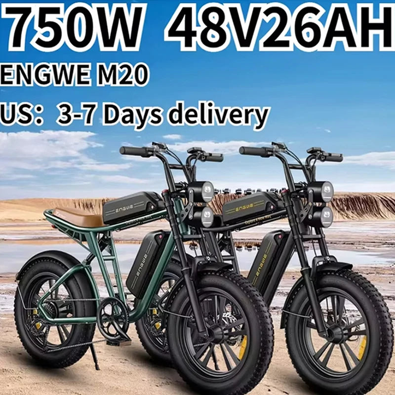 ENGWE M20 Electric Bicycle 750W Dual Battery Fat Tire Ebike