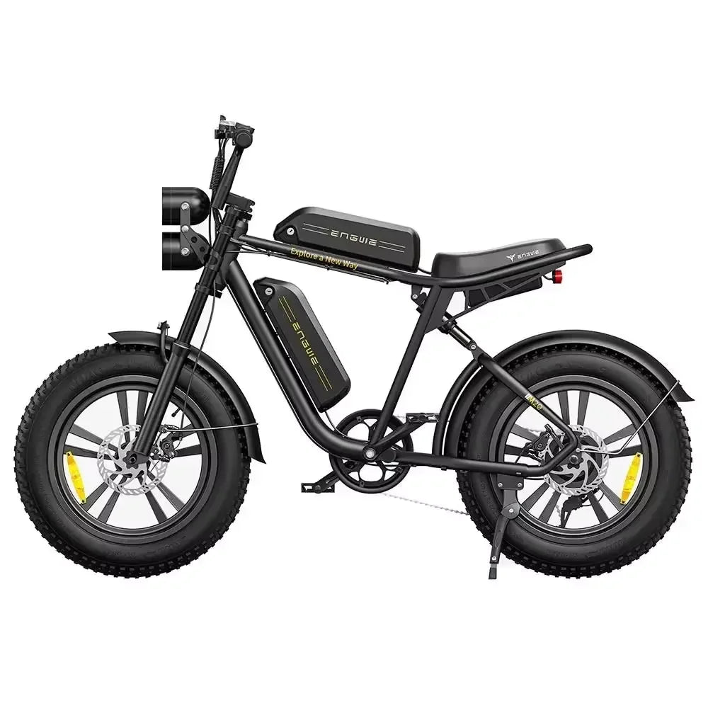 ENGWE M20 Electric Bicycle 750W Dual Battery Fat Tire Ebike