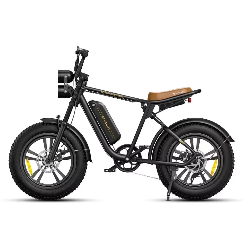 ENGWE M20 Electric Bicycle 750W Dual Battery Fat Tire Ebike