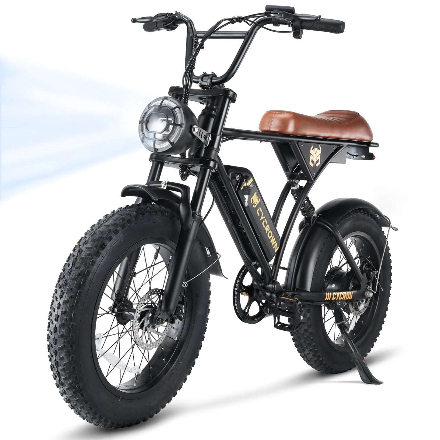 Cycrown RUN 750W Electric Bicycle 20 Inch Fat Tire Off Road Bike