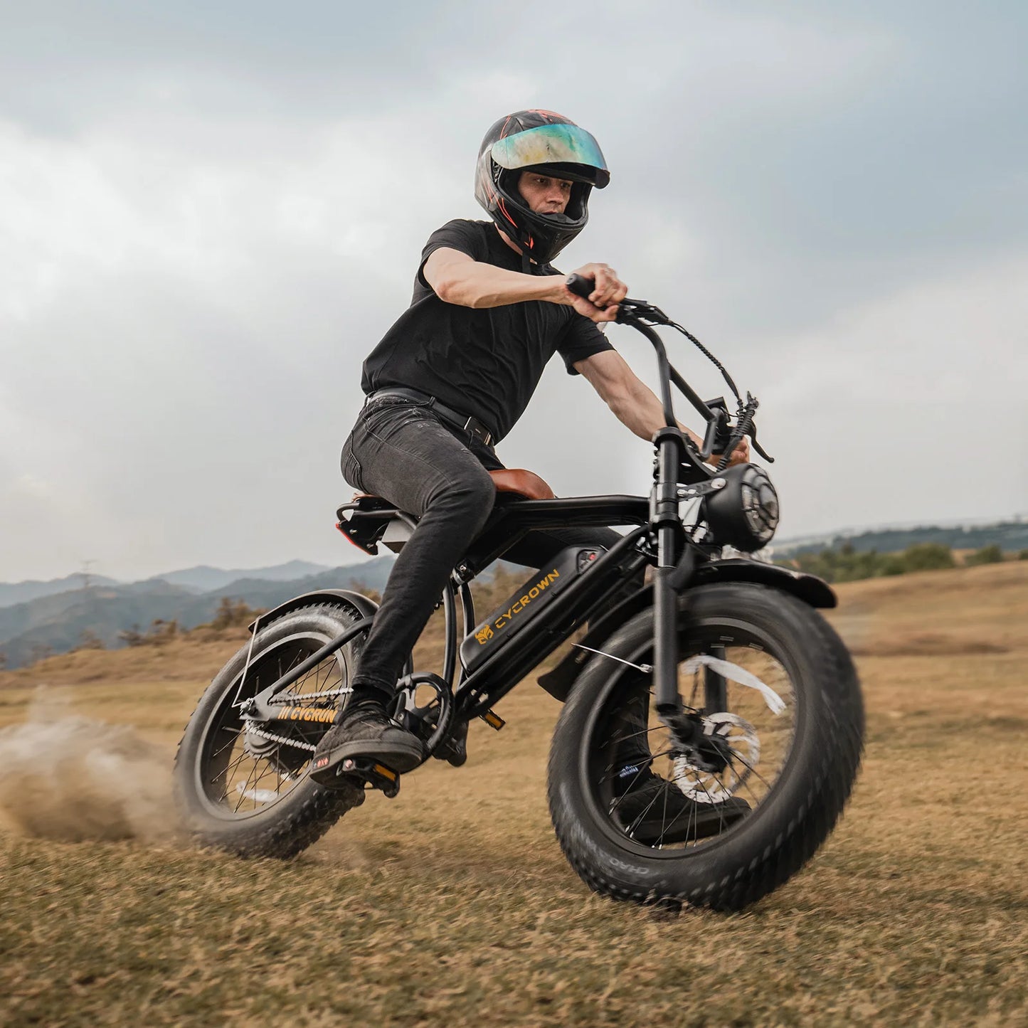 Cycrown RUN 750W Electric Bicycle 20 Inch Fat Tire Off Road Bike