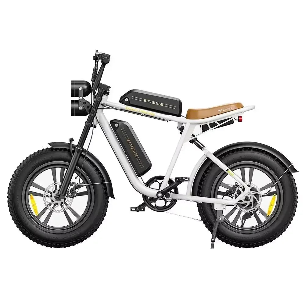 ENGWE M20 Electric Bicycle 750W Dual Battery Fat Tire Ebike