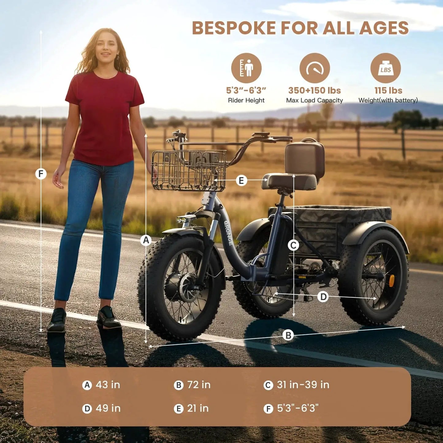 QRONGE Lava Electric Tricycle Folding Fat Tire Ebike Pro Max by Beastly Survival Outlet
