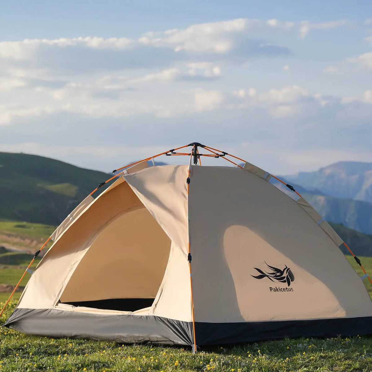 PAKICETUS Instant Pop Up Dome Tent 2-4 Person Easy Setup Polyester Fiber Portable Outdoor Tent Misty Gray Quicksand Gold For Camping Hiking Road Trips Backyard Picnic by Beastly Survival Outlet