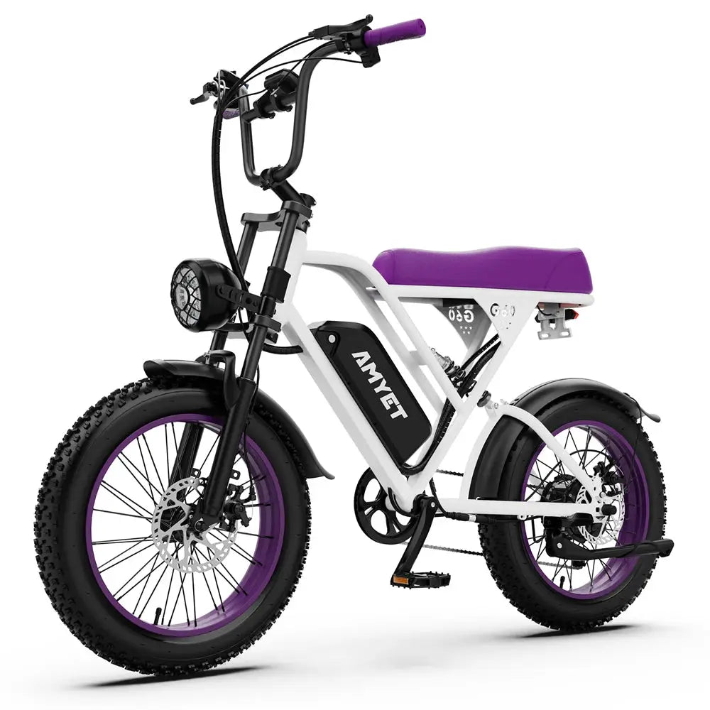 AMYET V9-G60 Adults Electric Bike 1000W Motor Bicycle 48V 20AH 20“ Tire Ebike Electric E Bikes Mountain Moped Ebikes For Men by Beastly Survival Outlet