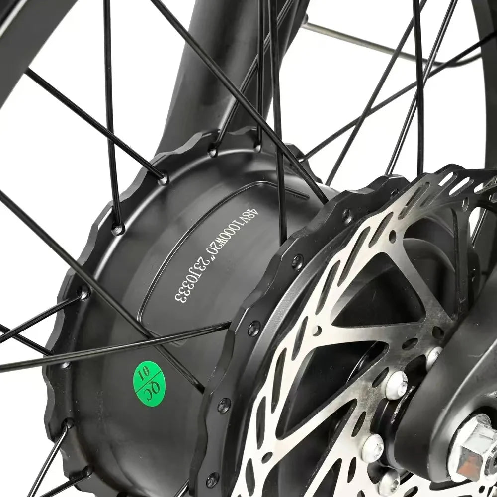 Baolujie DP2033 Electric Bicycle 2000W Dual Motor Fat Tire Bike